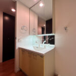 ロイヤルパークスタワー南千住の室内写真　洗面所
